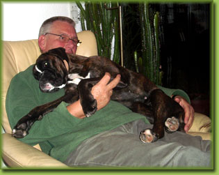 Attika- als Schohund