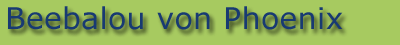 Bee-Banner