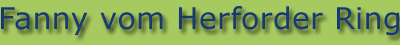 Fanny-Banner