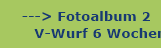 hier geht es zum Fotoalbum