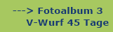 hier geht es zum Fotoalbum