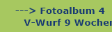 hier geht es zum Fotoalbum